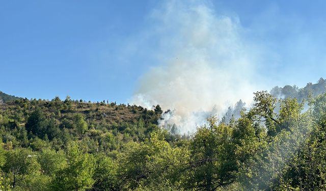 Bahçe yangını ormana sıçradı