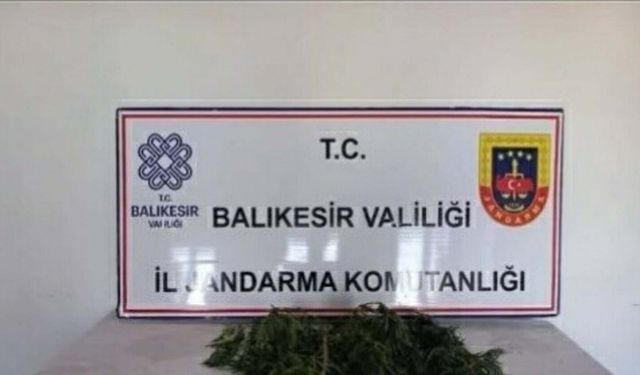 Balıkesir'de uyuşturucu operasyonu: 4 gözaltı