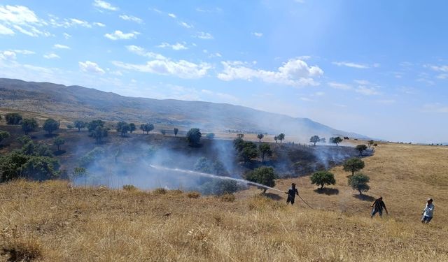 BİNGÖL’de anız yangını, 5 saatte söndürüldü