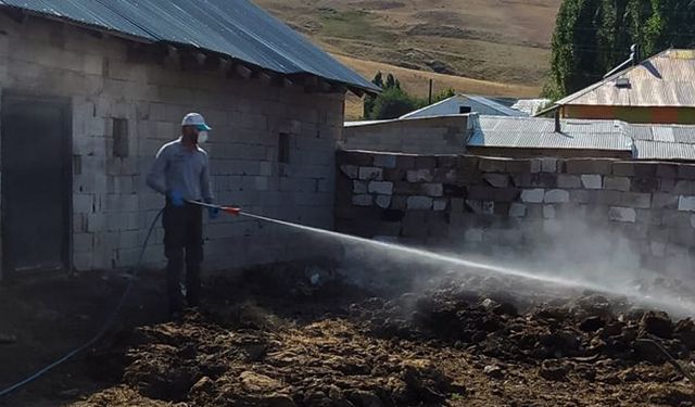 Bit ,pire ve sivrisinek istilasının olduğu mahallelerde ilaçlama yapıldı