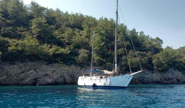 Bodrum'da 31 kaçak göçmen kurtarıldı, 98'i yakalandı