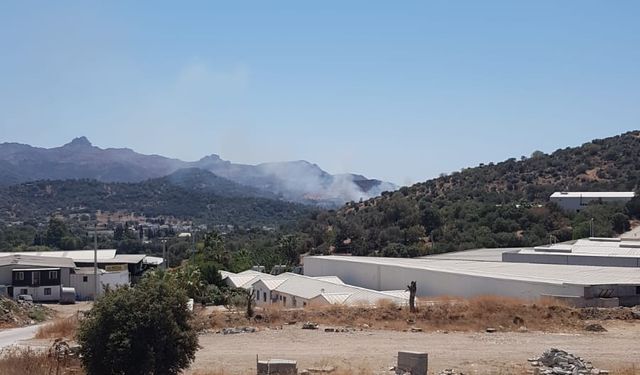 Bodrum'da makilik yangını