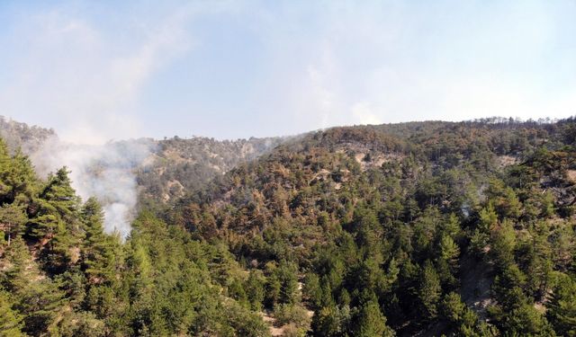 Bolu'da orman yangını 4'üncü gününde