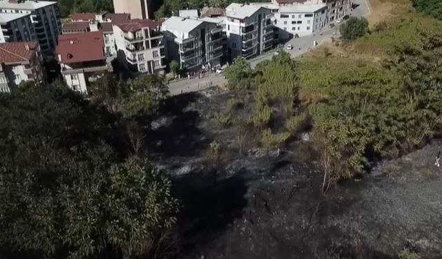 Bursa’da ağaçlık alanda yangın