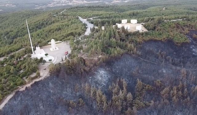 Çanakkale'deki orman yangını 2'nci gününde; yanan alanlar dron ile görüntülendi