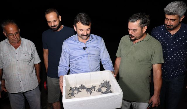 Caretta caretta ve yeşil deniz kaplumbağalarının yolculuğu başladı