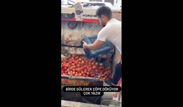 Domatesi çöpe döken işletmeye 123 bin lira ceza ve suç duyurusu