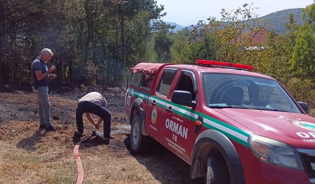 Düzce'de orman yangını, köye ulaşmadan kontrol altına alındı