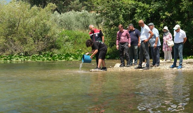 Hatay’da göle 513 bin sazan balığı bırakıldı