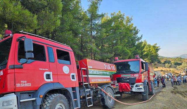 Hatay'da orman yangını