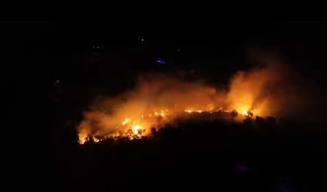 İzmir Karaburun'da çıkan orman yangını söndürüldü; 3 kişi dumandan etkilendi