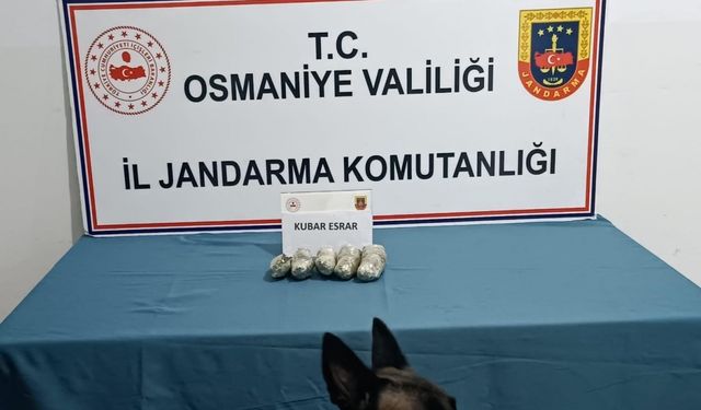 Jandarmanın operasyonunda tarihi eser ve uyuşturucu madde ele geçirildi