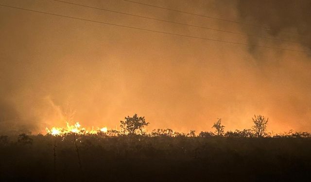 Kula'da çıkan makilik alan yangını söndürüldü