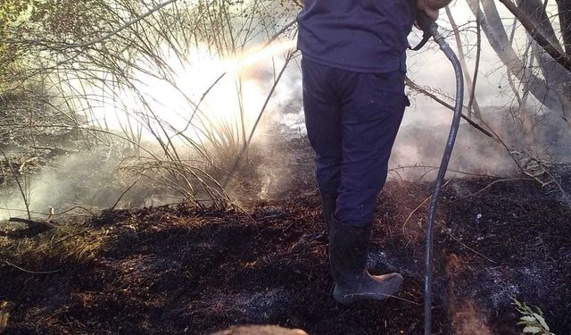 Malatya'da 4 ilçede çıkan anız ve orman yangınları söndürüldü