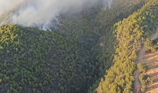 Manisa’daki orman yangınında 5’inci gün