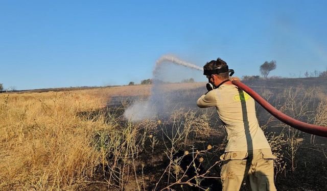 Merada başlayan yangında 10 bin dönüm tarım alanı zarar gördü