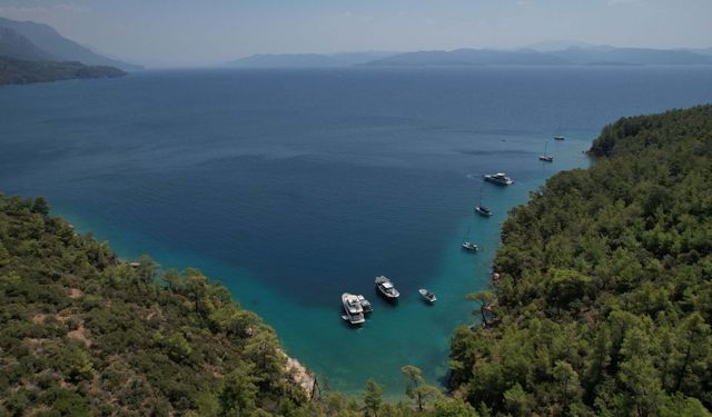 Muğla'da doğayı korumak için açılan dava sayısı 220'ye ulaştı