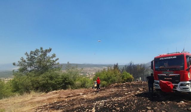 Muğla'daki orman yangını kısmen kontrol altında; 200 hektar alan zarar gördü