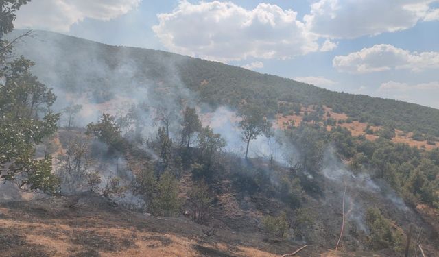 Orman yangını, iki saatte söndürüldü