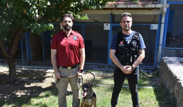 Polise emanet edilmişti ‘Layka’ narkotik köpeği oldu