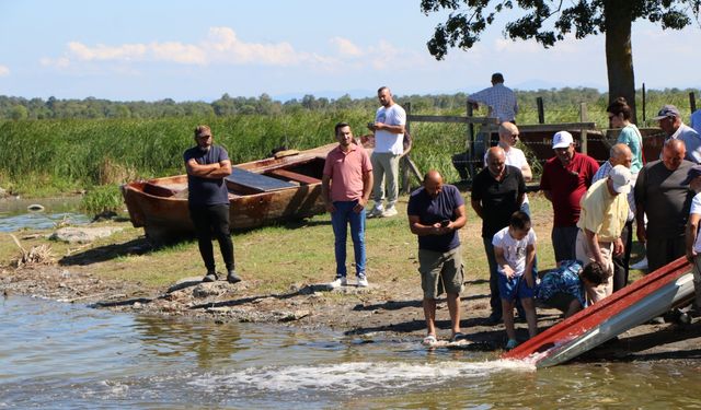 Samsun'da su kaynaklarına 3 milyon 5 bin sazan yavrusu bırakıldı