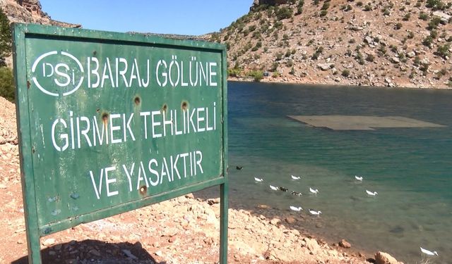 Serinlemek için baraj gölüne giren Havin, boğuldu