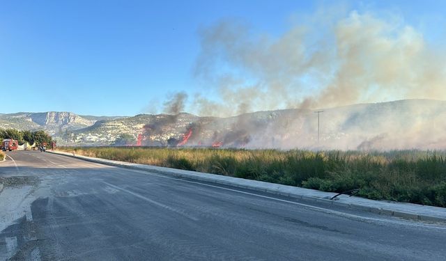 Silifke'de otluk alanda çıkan yangın söndürüldü