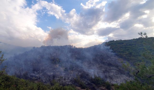 Tokat'ın Erbaa ilçesinde orman yangını