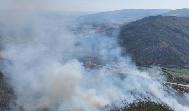 Tokat’ta orman yangını