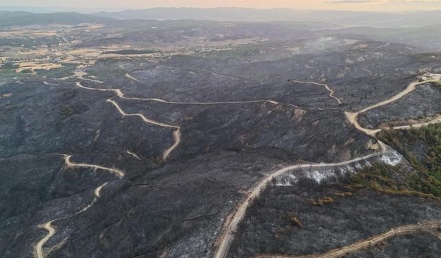 Çanakkale'deki orman yangını 2. gününde: Anzak Mezarlığı da zarar gördü!