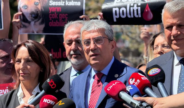 CHP'den AYM'ye sokak hayvanları başvurusu!