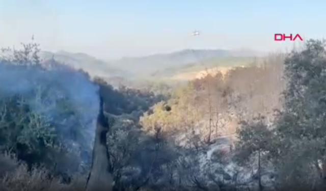 Milas'taki yangın ikinci gününde devam ediyor