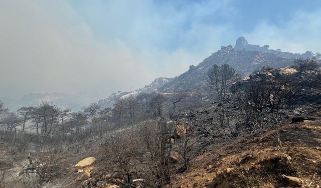 Manisa'daki orman yangını 6'ncı gününde