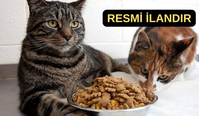 Konak Belediyesi kedi ve köpek maması alacak