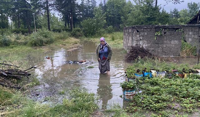 Manisa'da yağış nedeniyle taşan dereler, kurumaya bırakılan üzümlere zarar verdi