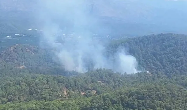 Muğla'da korkutan orman yangını!