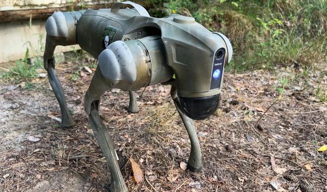 Bilim kurgu filmleri gerçek oluyor! Savaşta robot köpekler kullanılacak