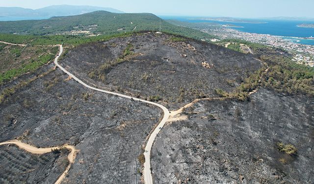 Urla küllerinden doğacak!