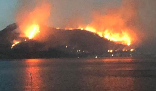 İzmir'in 3 ilçesindeki yangınlara müdahale sürüyor