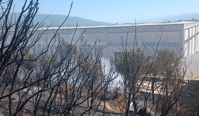 İzmir’de yangın fabrikalara ulaşmadan kontrol altına alındı