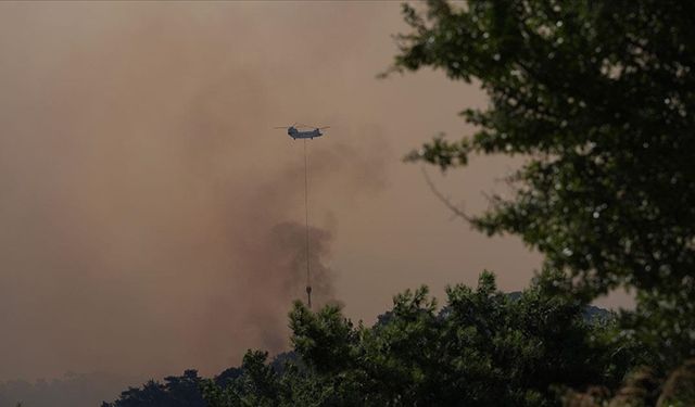 Vali Elban'dan yangın açıklaması: Canımız sıkıldı