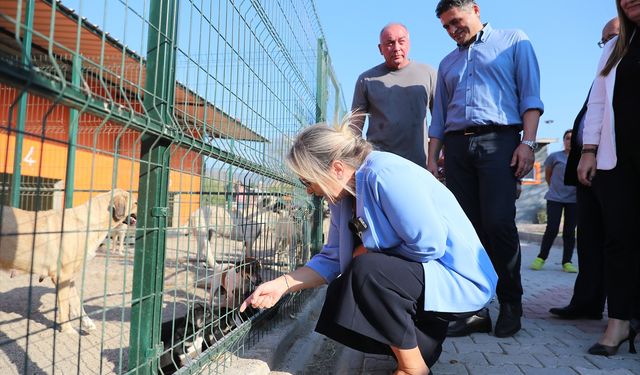 AK Parti İzmir Milletvekili Çankırı barınaktan köpek yavrusu sahiplendi