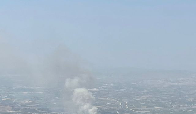 İzmir'in Menemen ilçesinde çıkan orman yangınına müdahale ediliyor