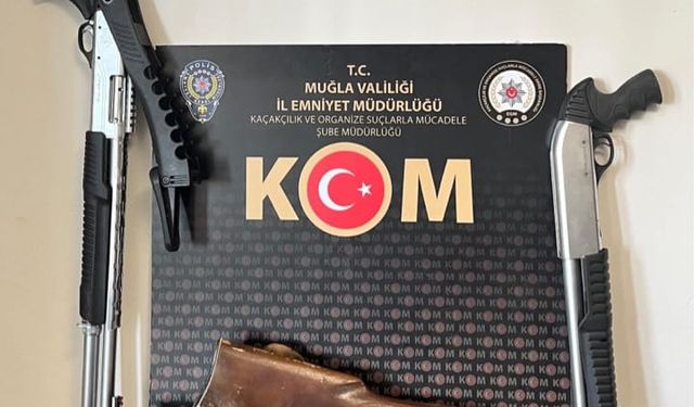 Beş ilçede silah kaçakçılığı operasyonu