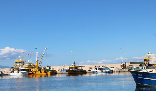 'İzmir Körfezi'ndeki kirlilik sonrası balık satışı yarı yarıya azaldı'