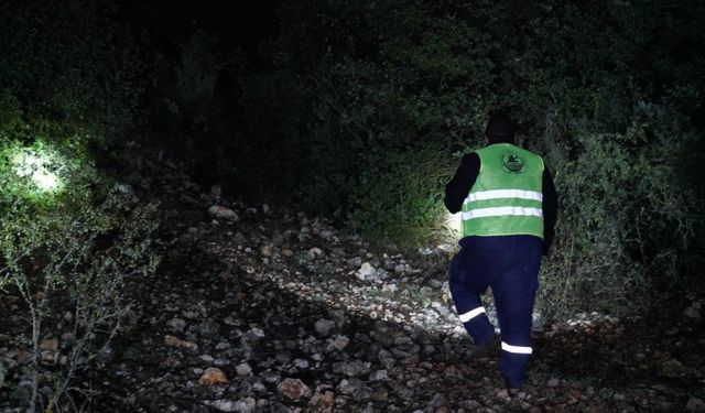 Mantar ararken kayboldu, 10 saatlik çalışmanın ardından bulundu