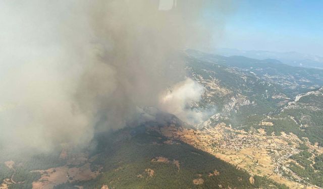 Muğla'da orman yangını