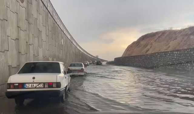 Sağanak nedeniyle fıstıklar su altında kaldı