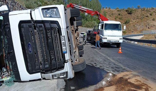 Devrilen TIR'ın dorsesindeki 100 küçükbaş öldü