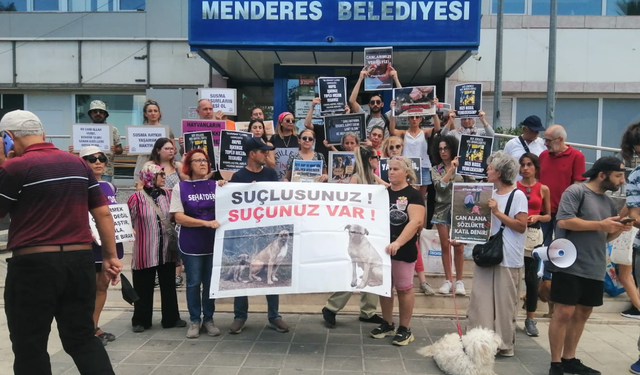 Menderes'te 3'ü hamile 4 köpeğin öldürülmesine tepki!